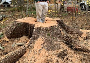 A tree stump is sitting on a brick sidewalk.