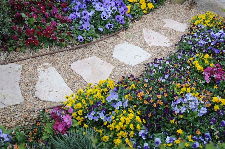 A stone walkway surrounded by colorful flowers in a garden
