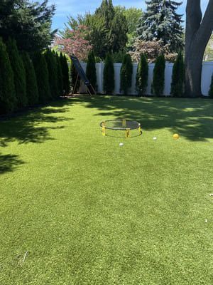 Green backyard with a lawn game set up and surrounded by trees.