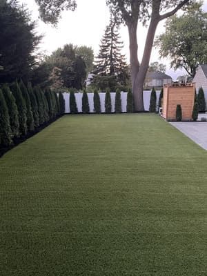 Green lawn bordered by evergreen trees and a white fence, with a small wooden structure in the background.