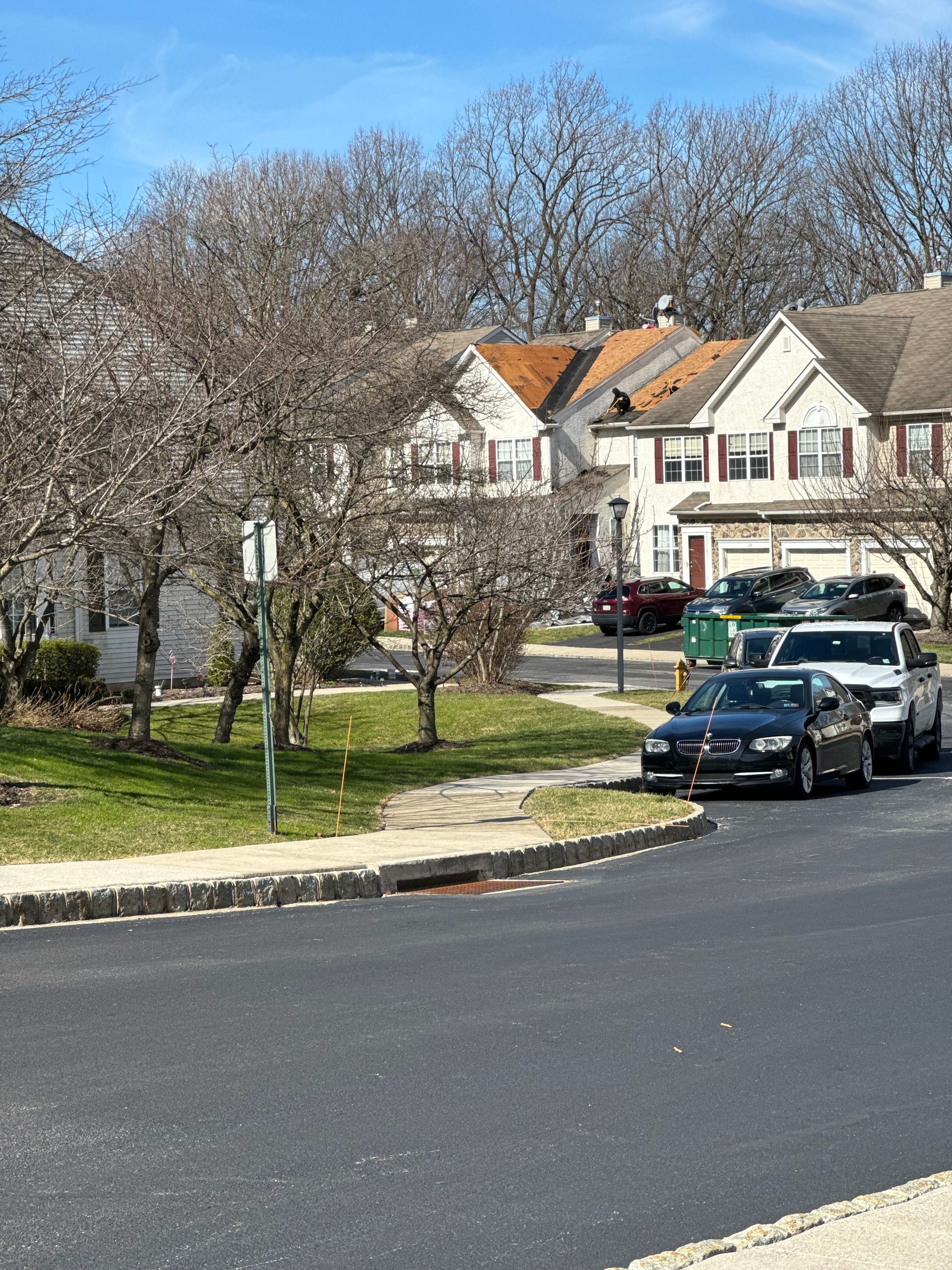 Suburban street with parked cars, leafless trees, and houses under a clear blue sky