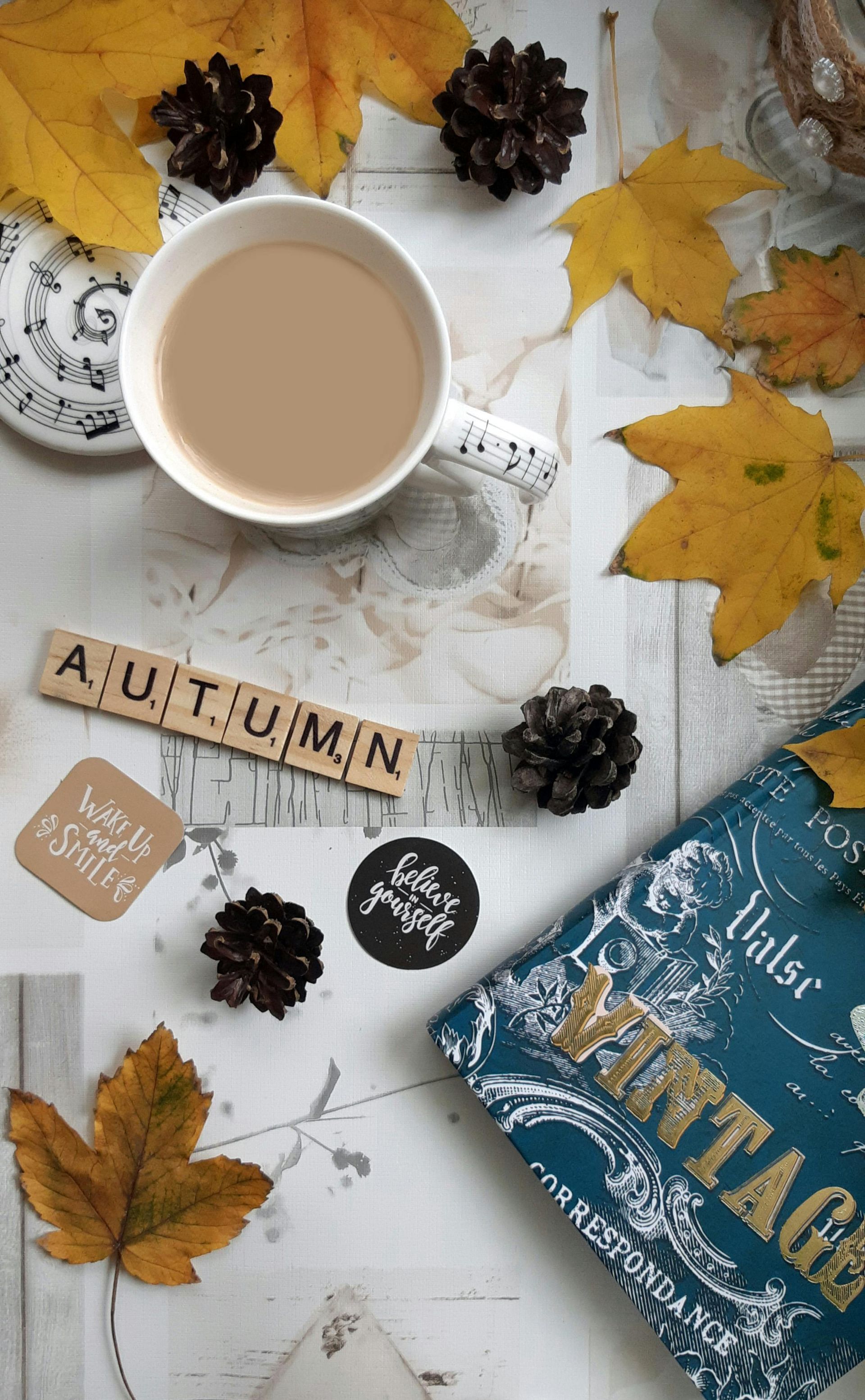 fall storage