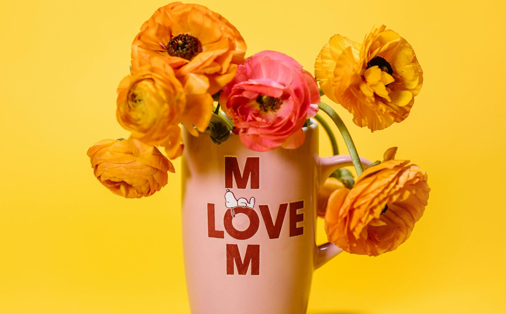 mothers day organization gifts
