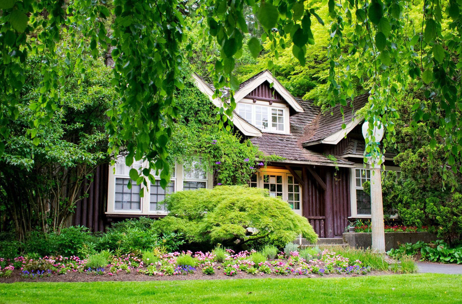 Cozy wooden house nestled among lush green foliage; a charming, secluded setting.