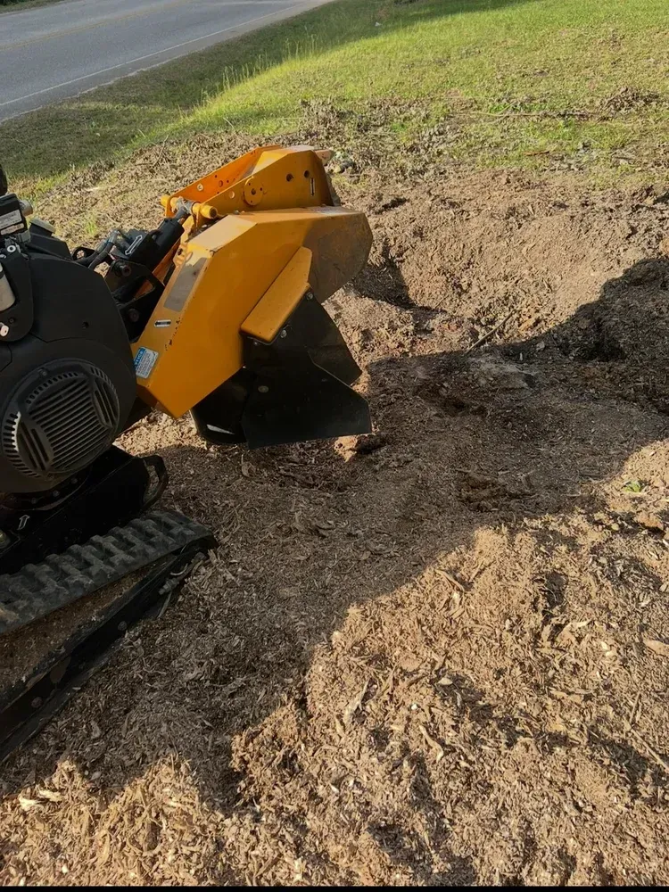 Yellow stump grinder grinding wood chips.