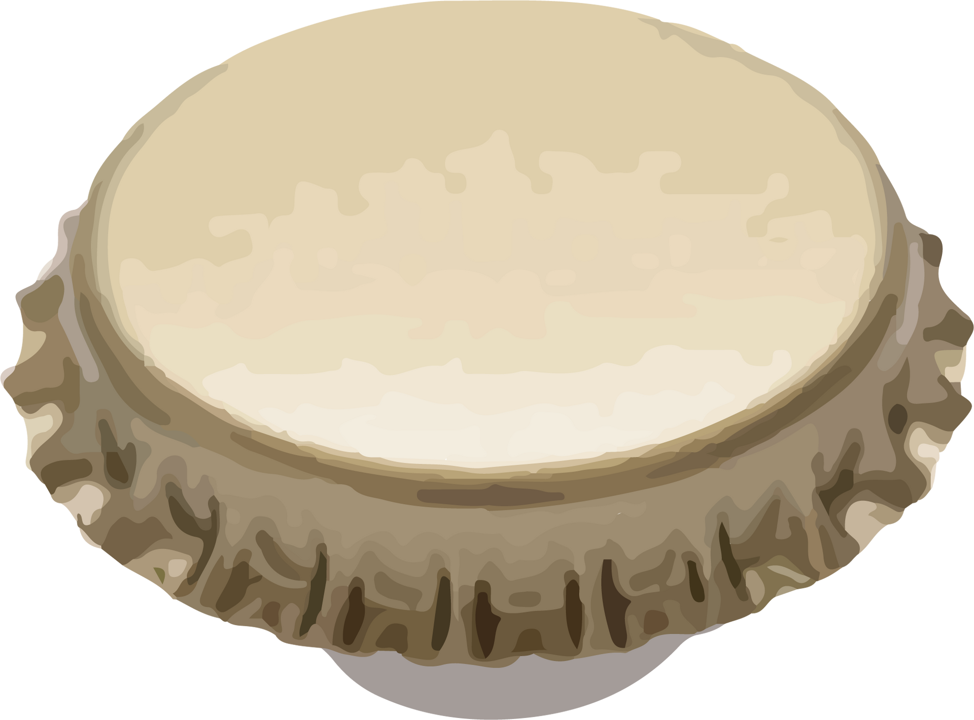 tapon corona con obturador o bidul
