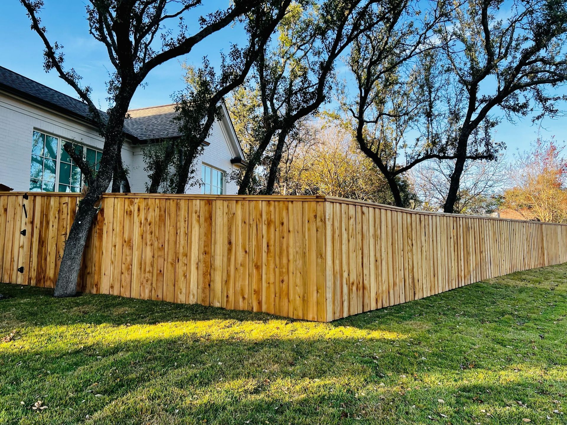 A new cedar wood privacy fence runs along a grassy lawn in front of a house with large trees under a clear blue sky.