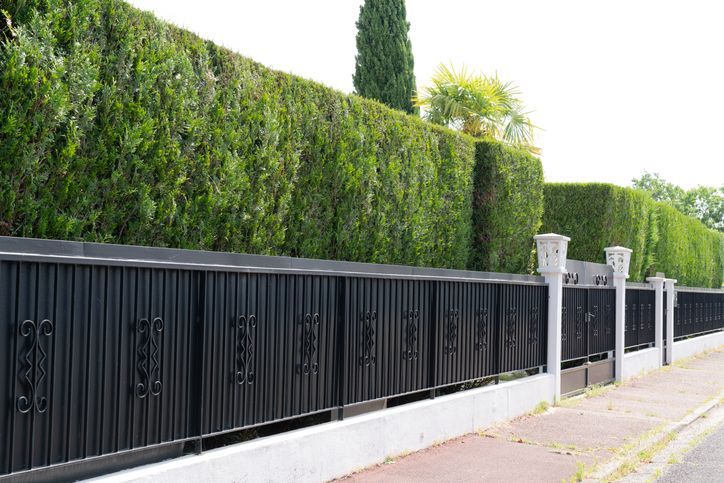 A black metal fence runs along a sidewalk in front of a neatly trimmed, tall green hedge.