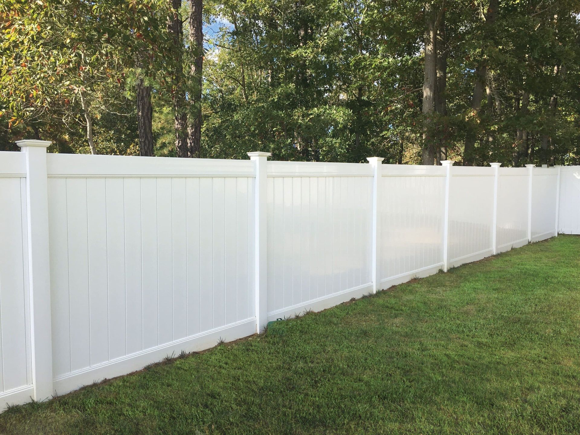 White vinyl privacy fence in a grassy yard, trees in the background.