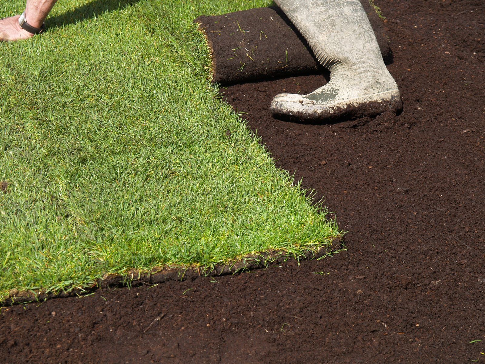 A person in boots installs rolls of green sod onto prepared dark soil in a yard.