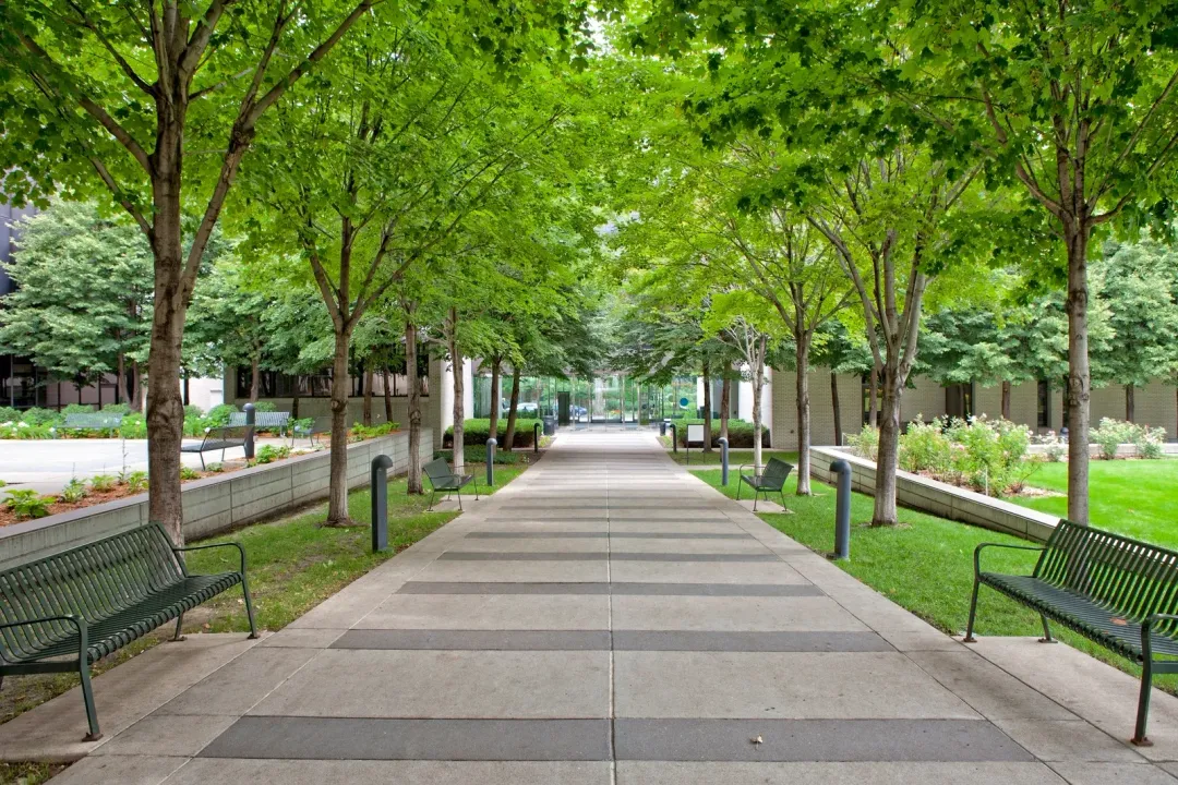 Suburban houses with blue siding, stone accents, and tan garage door under a bright blue sky.