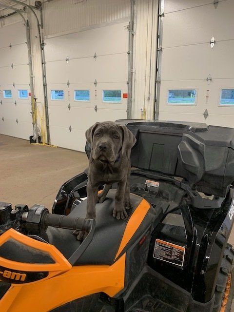 ATV Back Case — Ontario, NY — Fury Auto Accessories