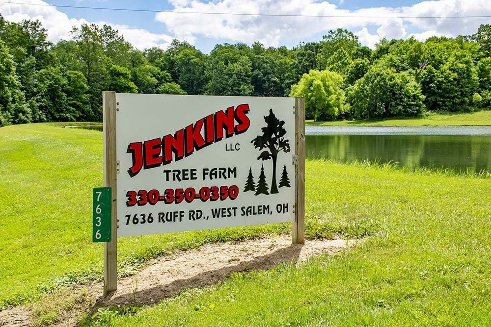 Sign for Jenkins Tree Farm with a pond and trees in the background. Address and phone number visible.