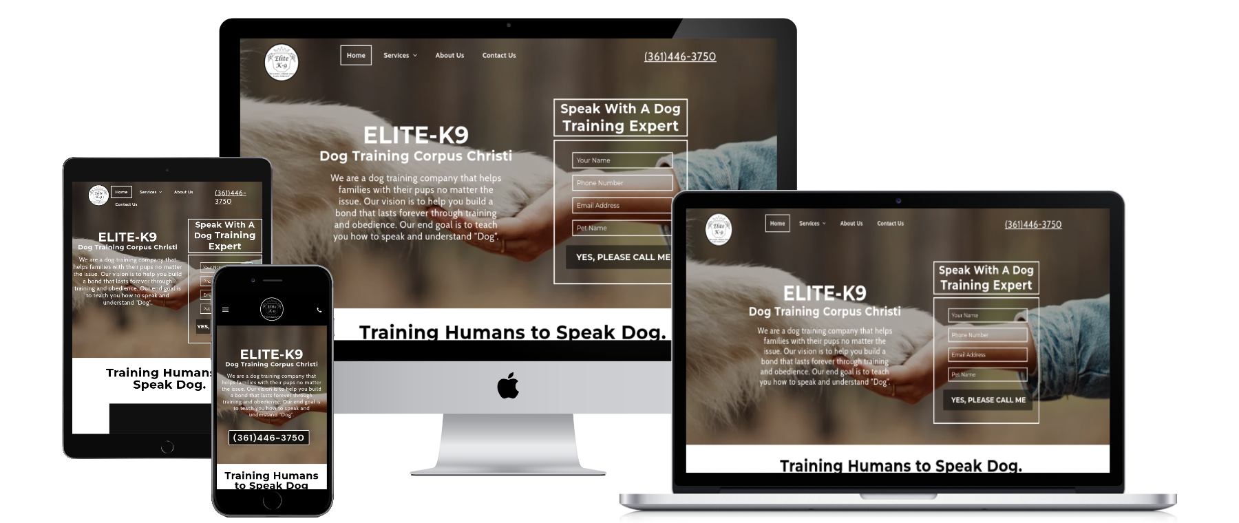 corpus christi seo company miles ahead
