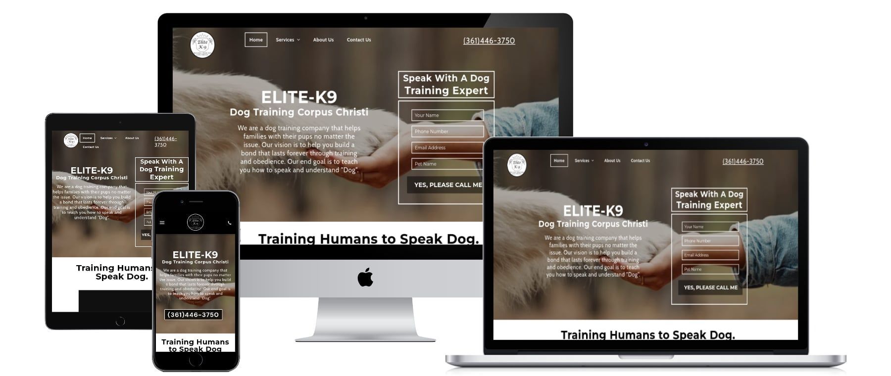 corpus christi website design
