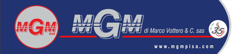 LOGO MGM