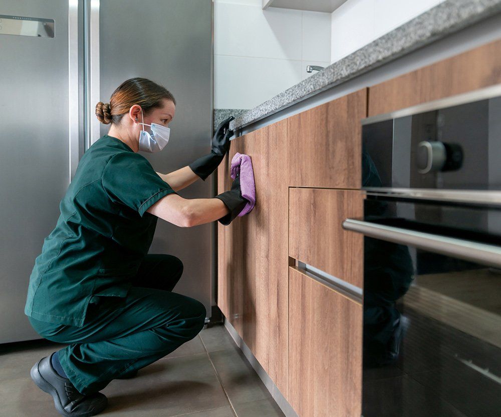 Woman Cleaning The Kitchen Cabinets — Laguna Niguel, CA — Margaret’s Cleaning Service