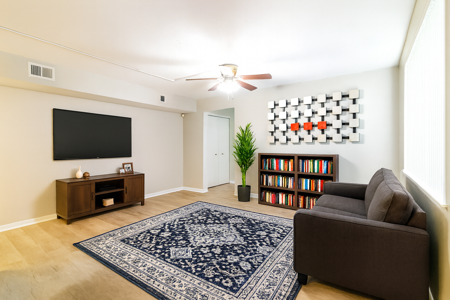 Living room with TV, dark couch, bookshelf, area rug, and decorative wall art.