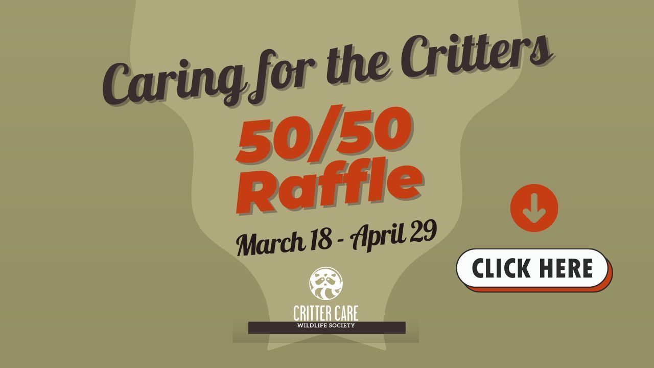 Caring for Critters Raffle