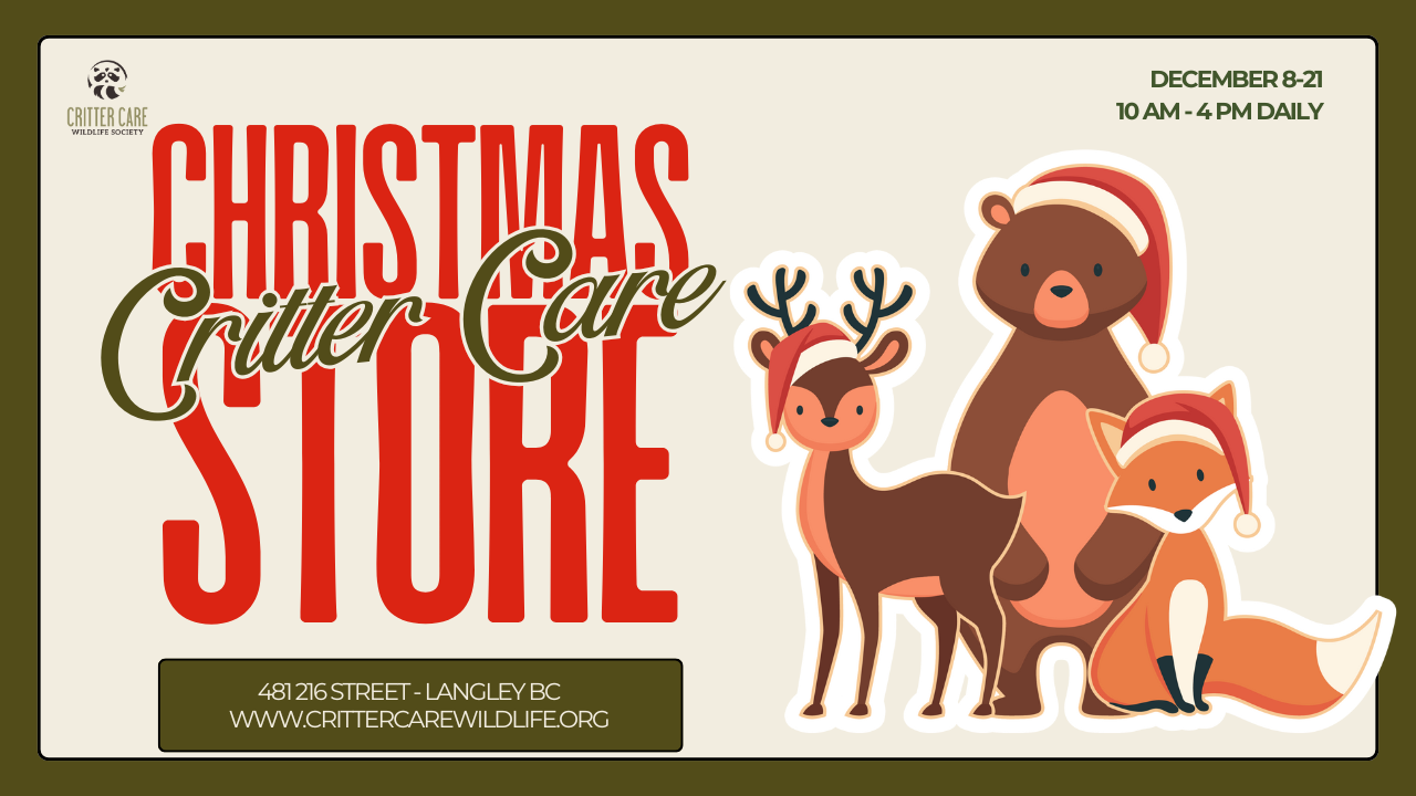 Christmas Critter Care Store poster with a reindeer, bear, and fox wearing Santa hats.