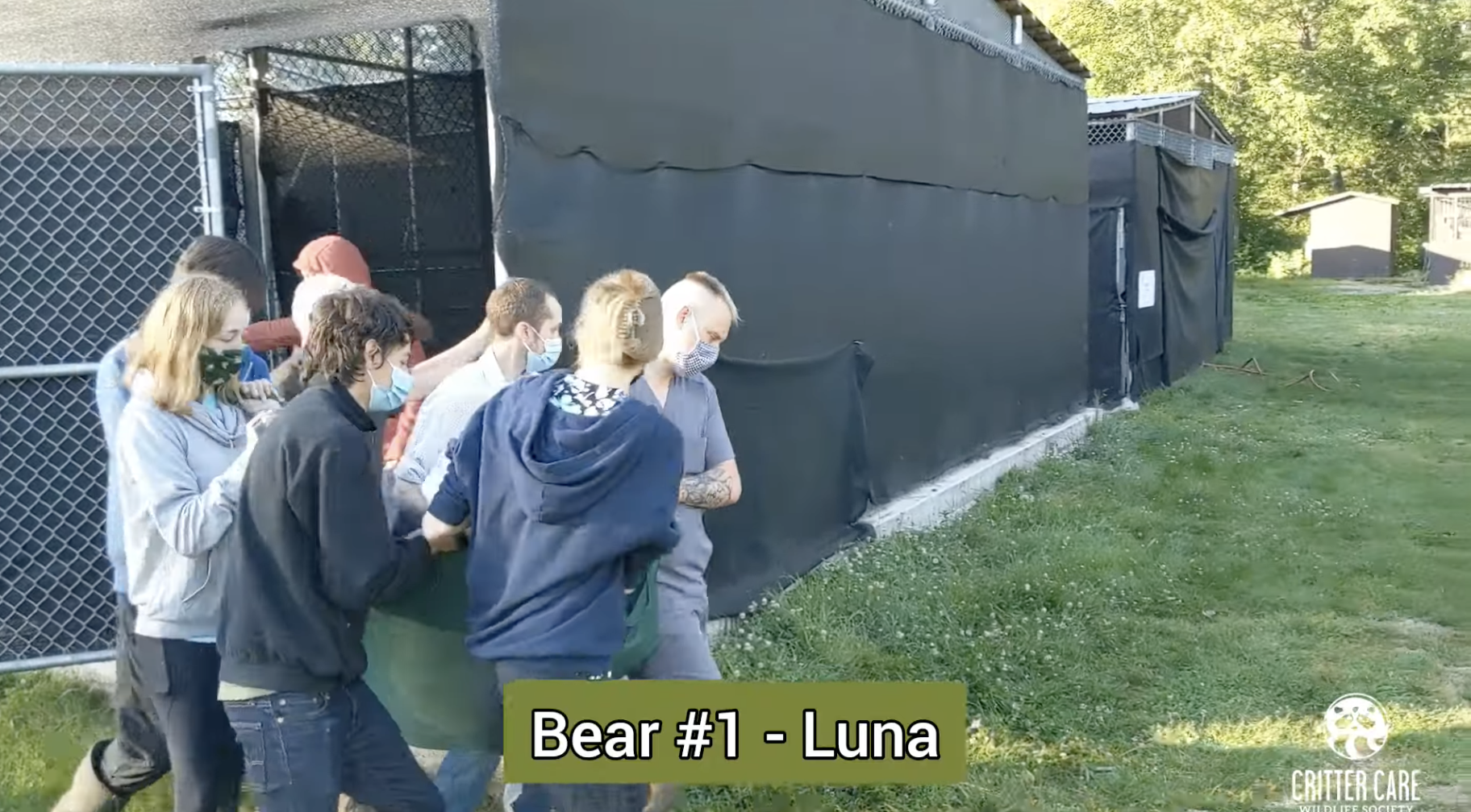black bear 2021 tour