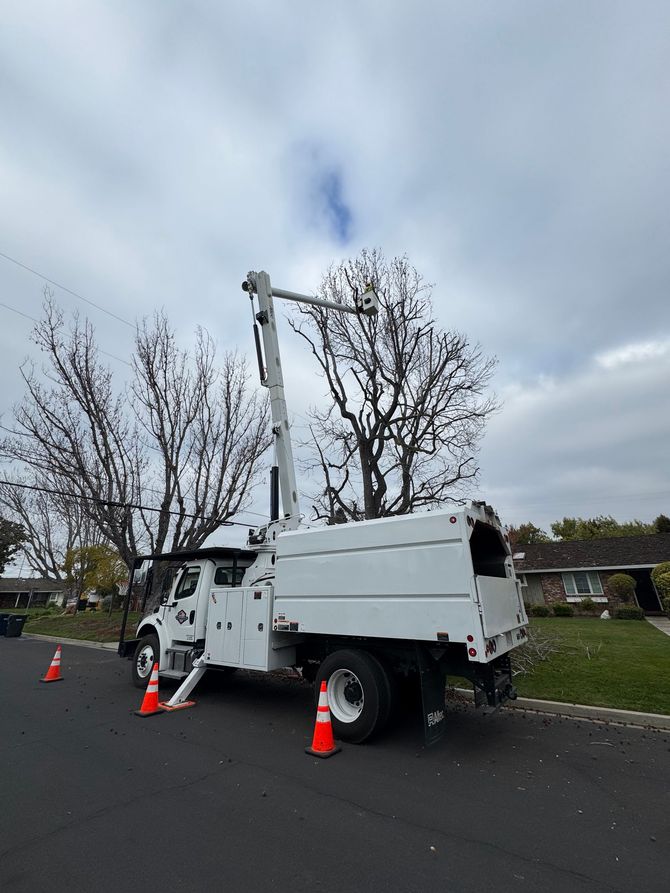 White utility truck with a raised boom parked on a street, surrounded by orange safety cones.