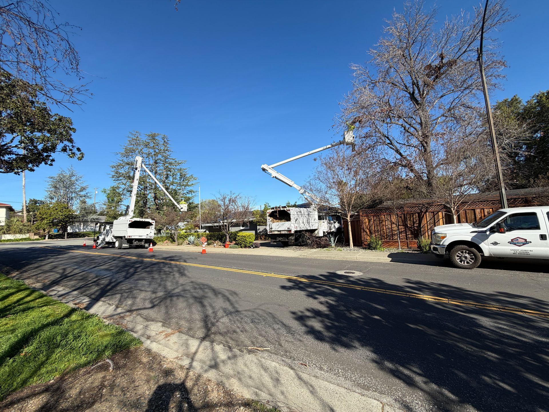 Two white utility bucket trucks parked on a quiet residential street performing tree trimming work under a blue sky.