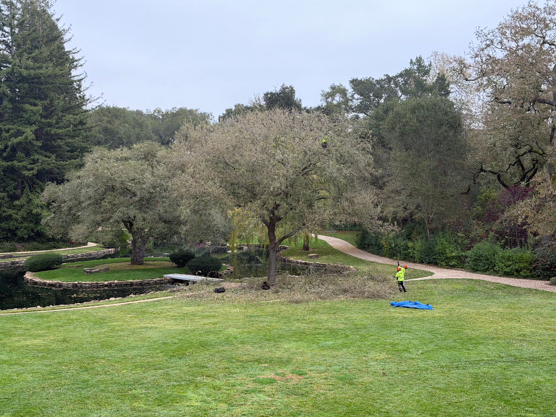 A person in a neon yellow shirt stands in a grassy park with trees, a small pond, and a winding dirt path.