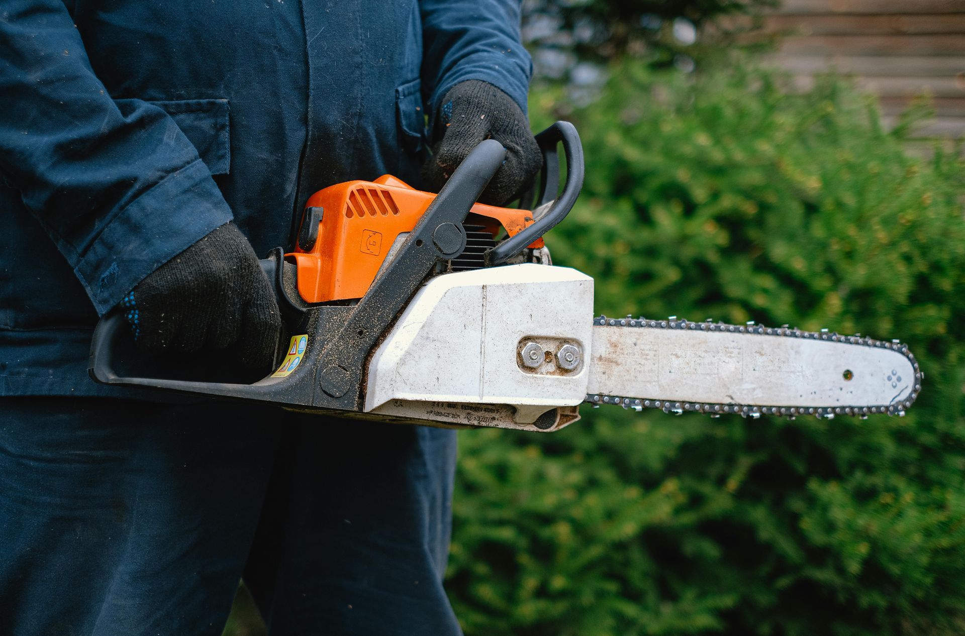 A person in blue coveralls and dark gloves holds an orange and white chainsaw in front of a green hedge.