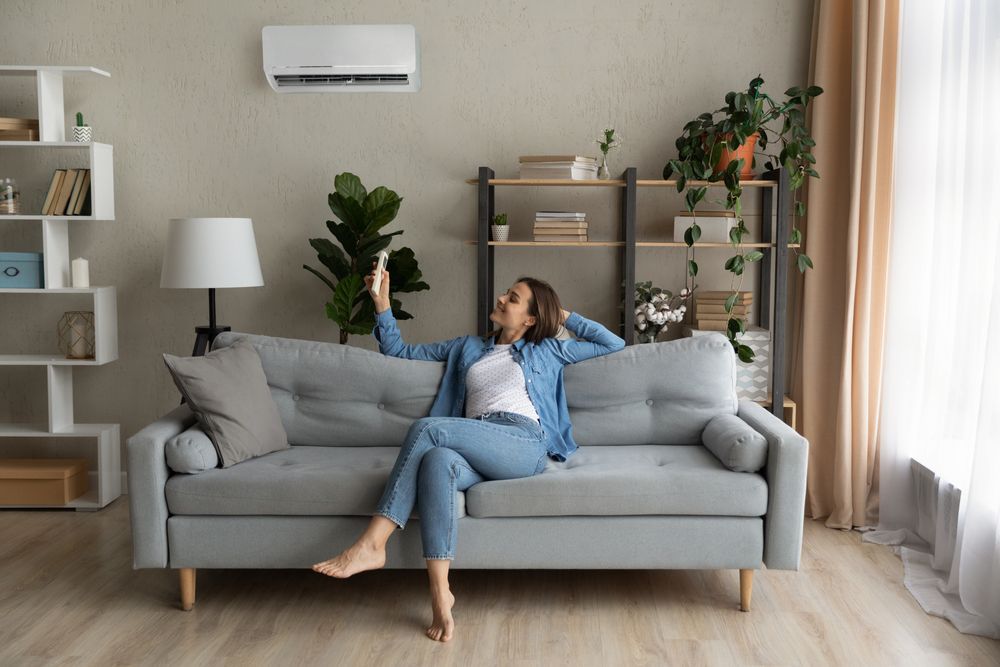 Woman on gray sofa taking a selfie, living room with air conditioner and plants.