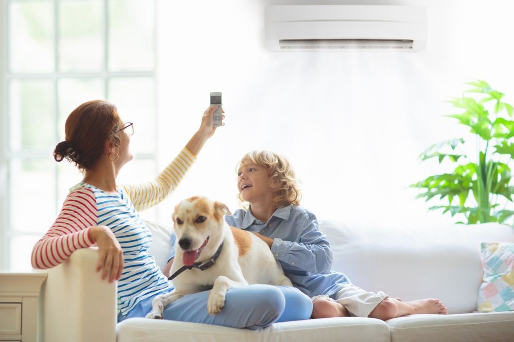 Woman, child, and dog on sofa, under AC unit; woman holding remote.