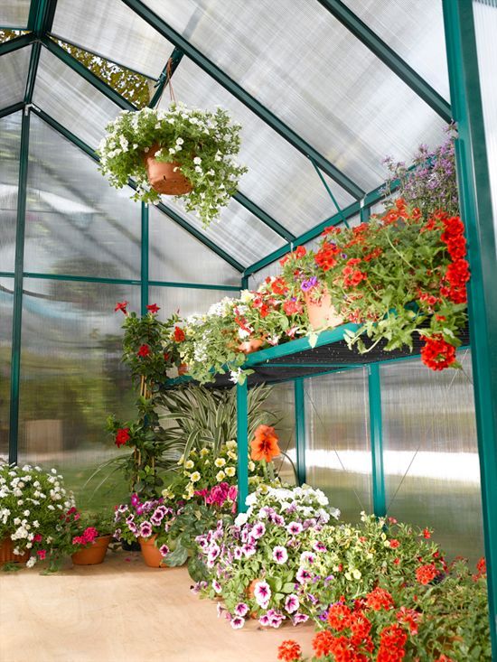 A greenhouse filled with lots of flowers and potted plants