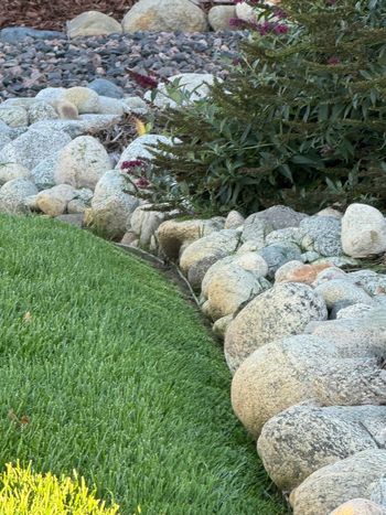 Green grass borders a rock-lined bed with a small bush and stones in a garden setting.