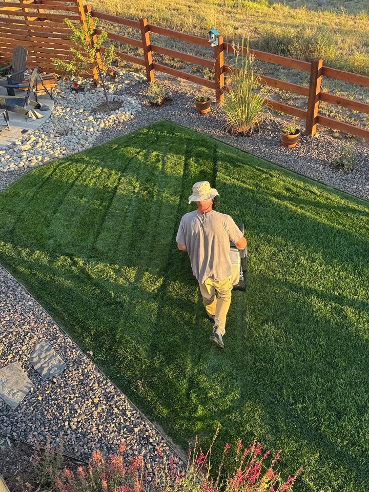 Person mowing a rectangular patch of green grass in a yard with a wooden fence.
