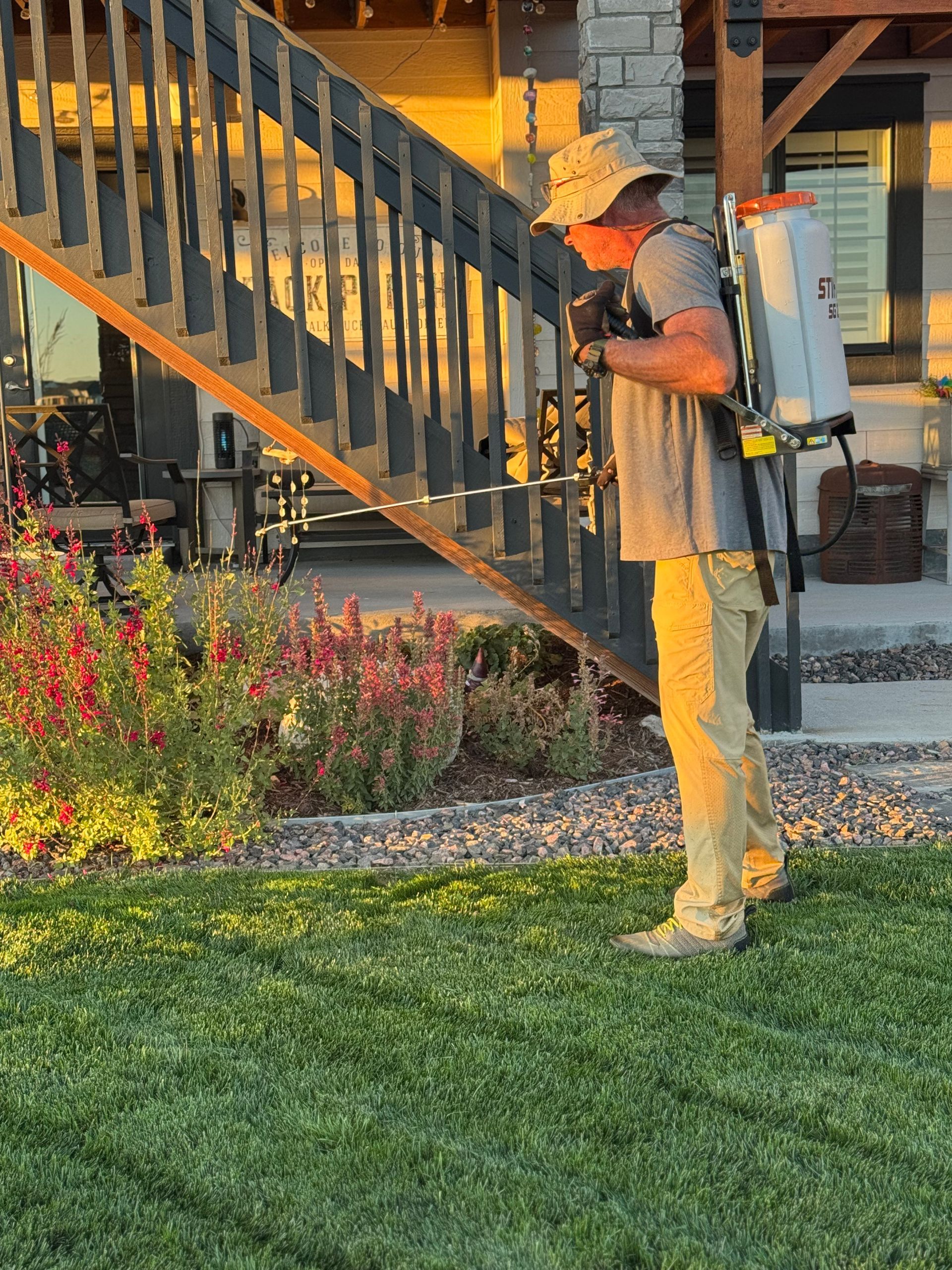 Man spraying plants in a yard with a backpack sprayer. Golden hour, stairs, house.