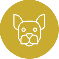 A line drawing of a dog's head in a yellow circle.