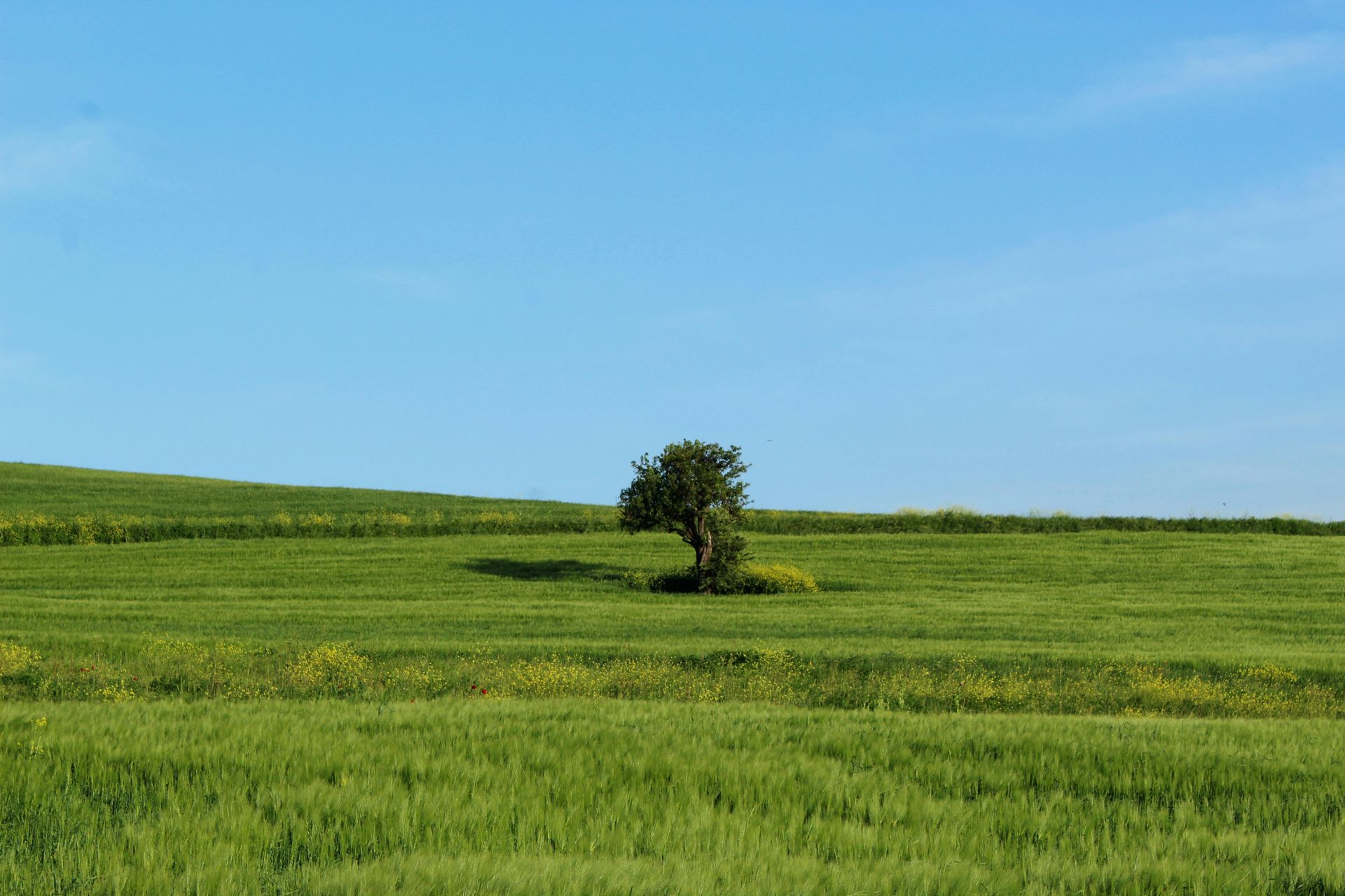 Rural and Vacant Land — Warland Solicitors in Cardiff, NSW