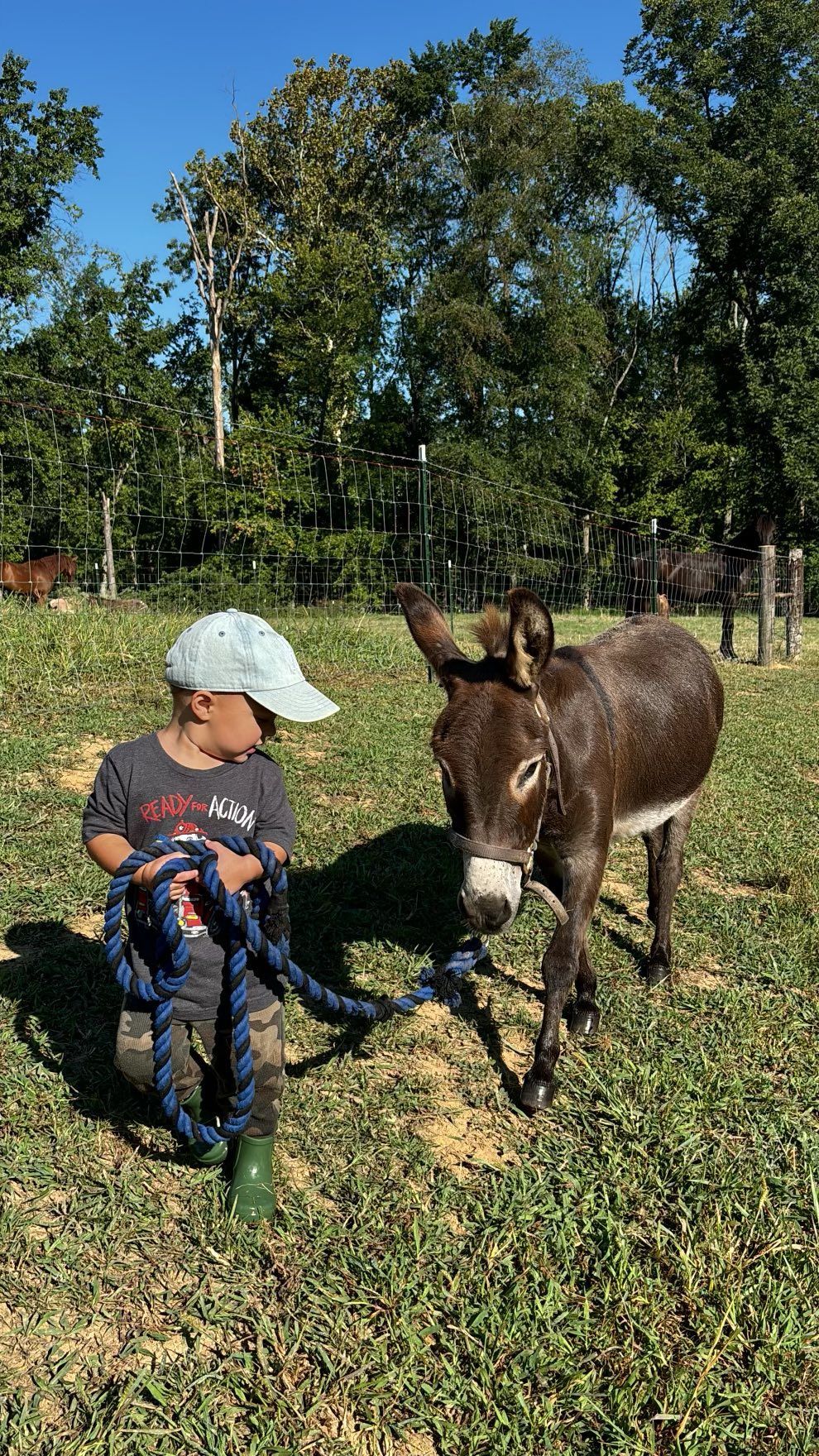 Young child kneeling, holding a rope next to a small donkey in a grassy field.