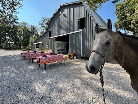 Horse stands near a barn with picnic tables set up outdoors on a sunny day.