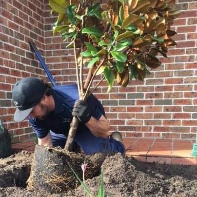 Man Planting a Tree Near a Brick Wall — Total Perfection In Avoca Beach, NSW