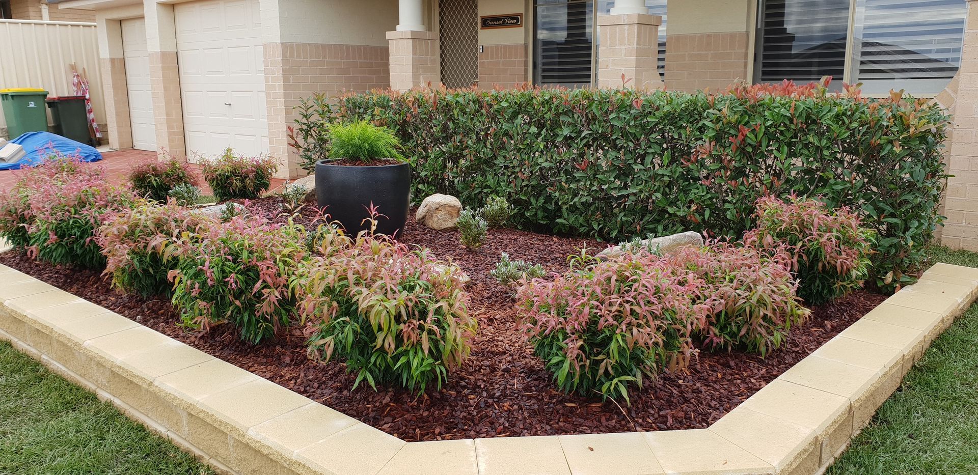 Landscaped Front Yard With a Row of Shrubs and Mulch — Total Perfection In Avoca Beach, NSW