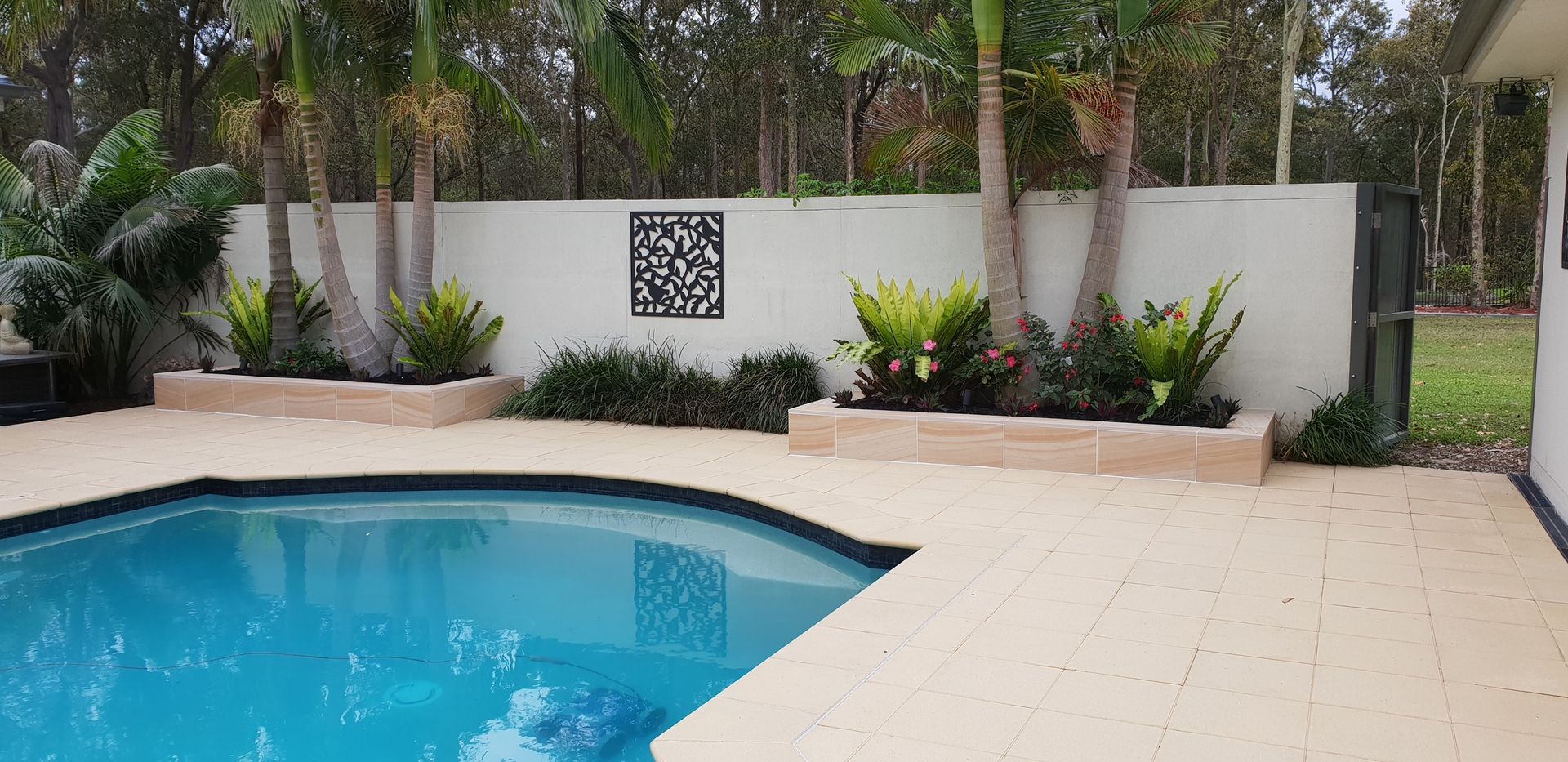 Pool and Patio With Palm Trees — Total Perfection In Kincumber, NSW