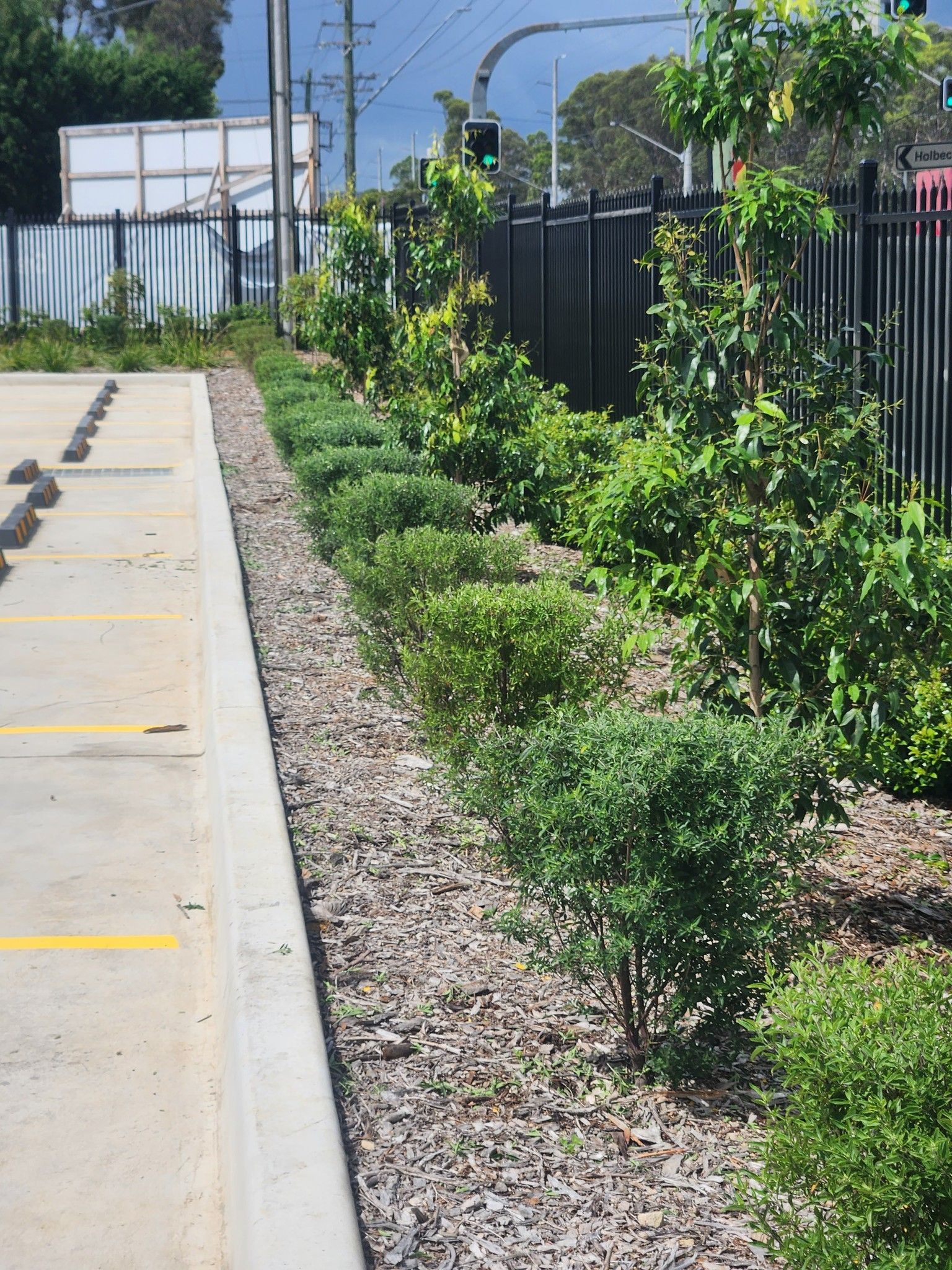 Lined Parking Lot With a Planted Median Strip of Green Bushes — Total Perfection In Erina, NSW