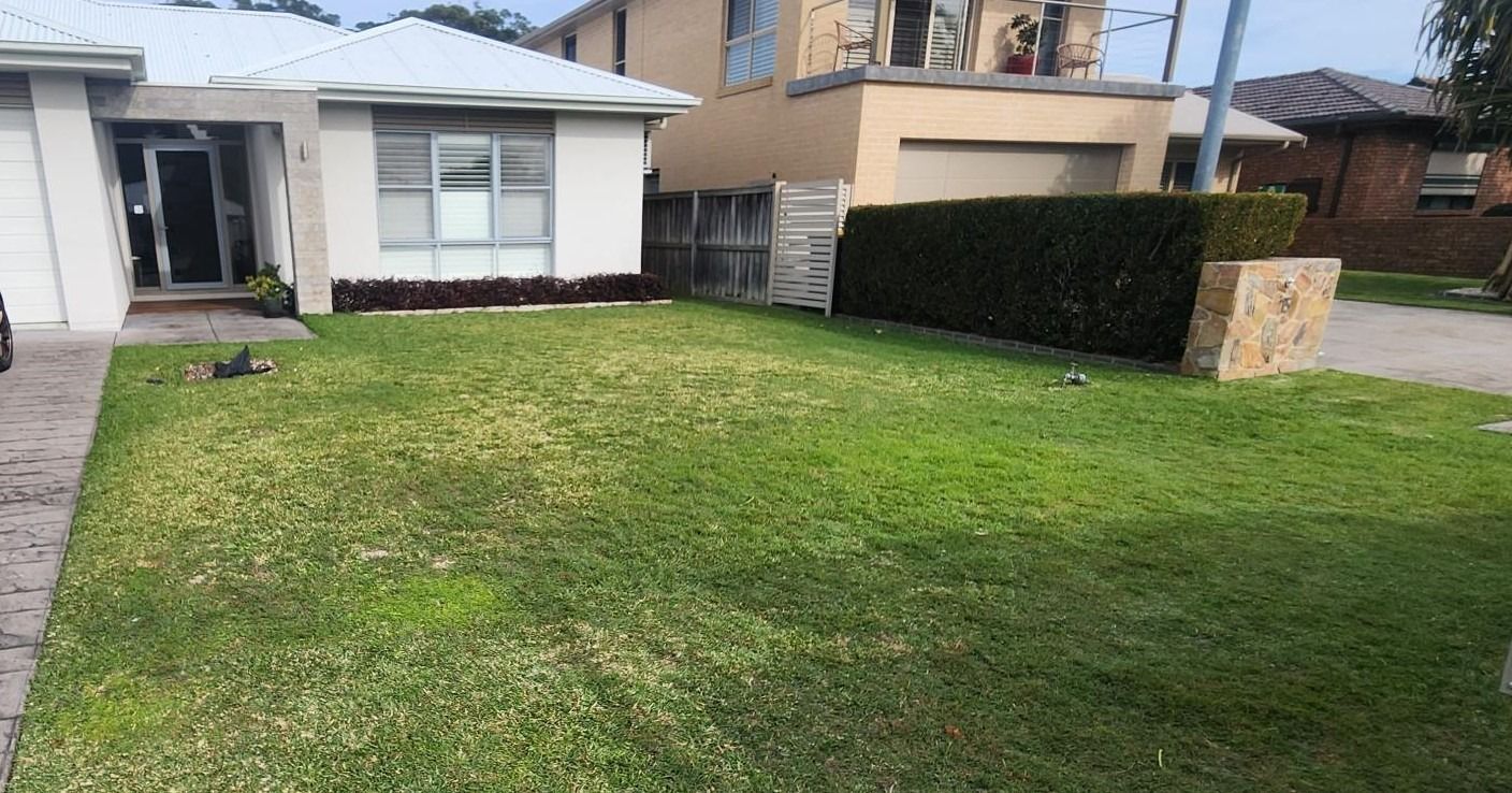 A Residential Lawn with A House in The Background — Total Perfection In Terrigal, NSW