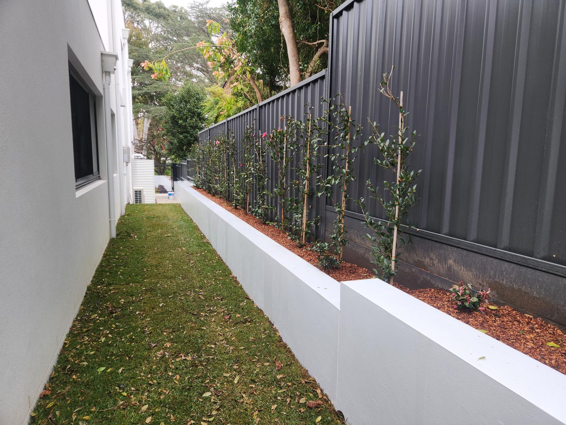 Narrow Outdoor Space With Grass — Total Perfection In Erina, NSW