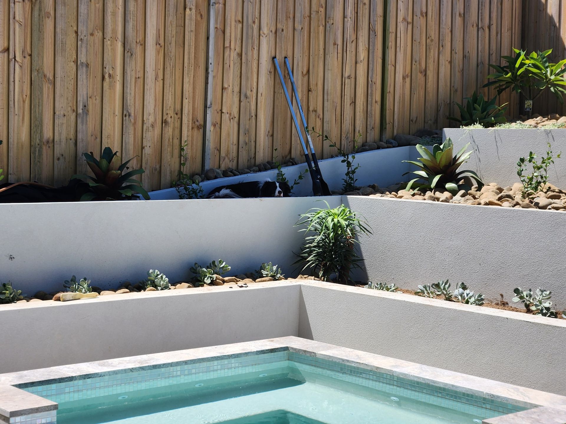 Small Pool Surrounded by Tiered Planters — Total Perfection In Bateau Bay, NSW