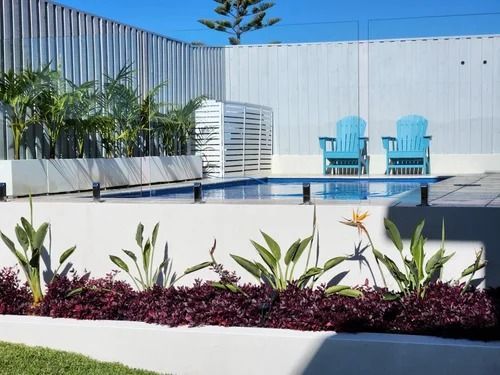 Poolside Scene With Blue Chairs, Pool, and Tropical Plants — Total Perfection In Catherine Hill Bay, NSW