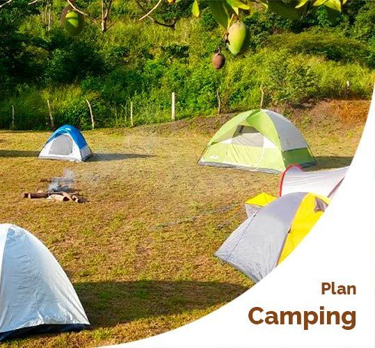 Cartel promocional de