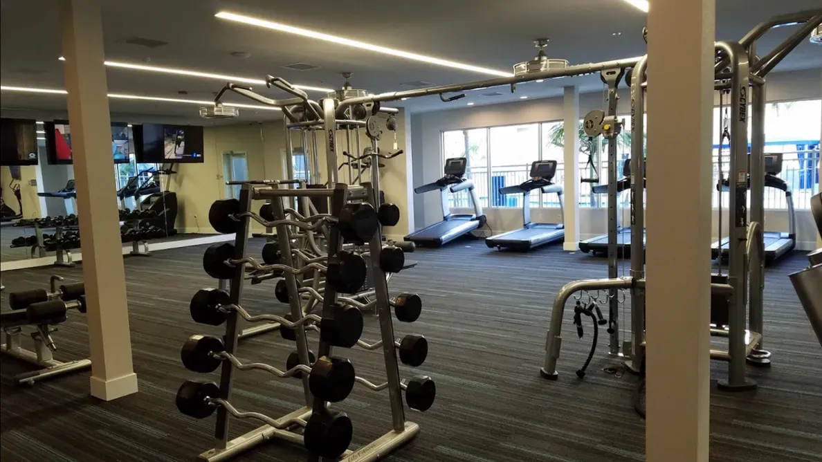 A gym with a lot of dumbbells and treadmills