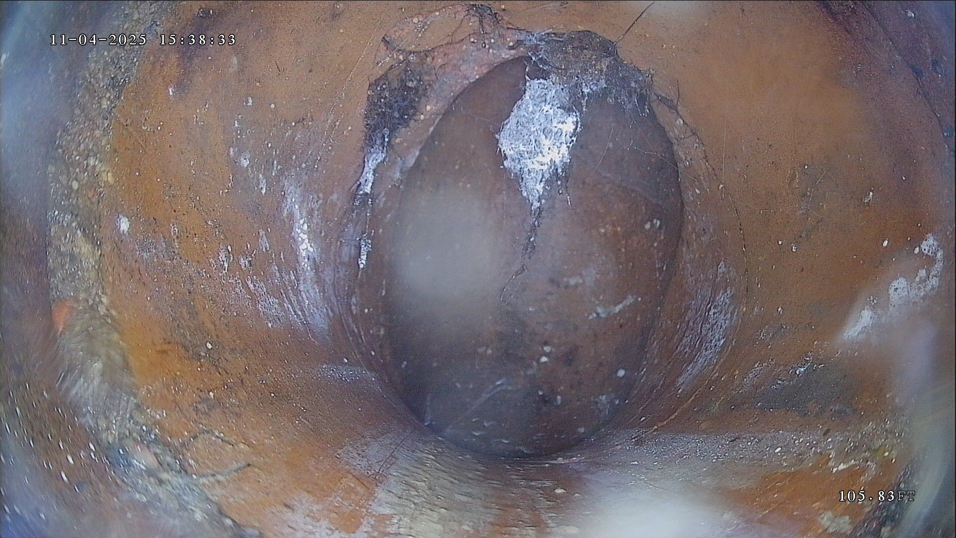 Close-up of a brown, ovular object with a dark hole in the center, surrounded by an orange and white speckled surface.